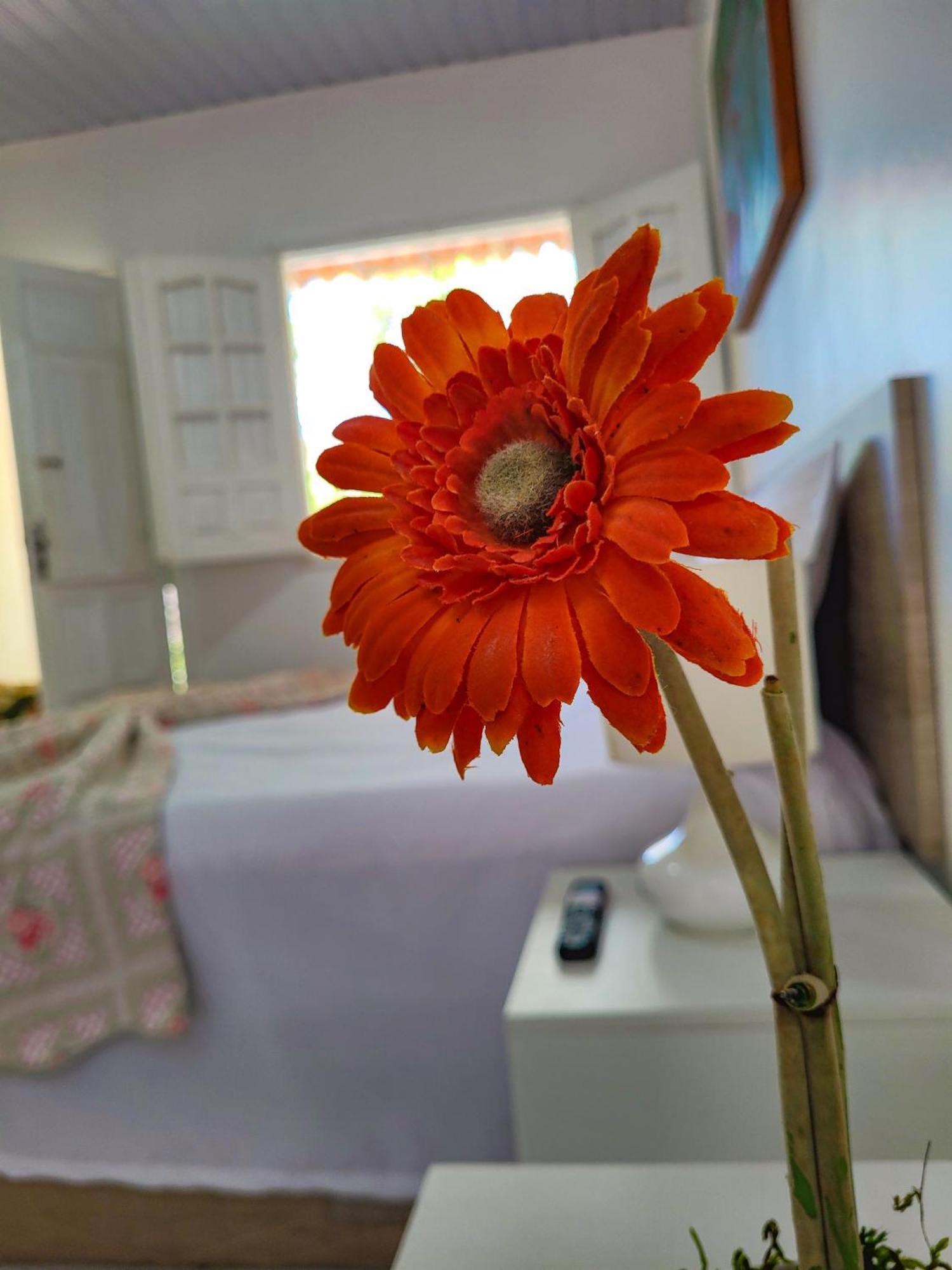 Apartamento Mandakaru Rubaiyat